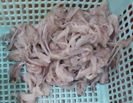 ĐẦU MỰC ỐNG LÀM SẠCH SIZE NHỎ 